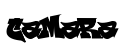Camara - logo
